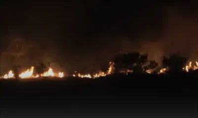 Port-Louis : important incendie sur la Montagne des Signaux