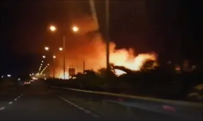 Grand-Baie : des champs de canne ravagés par les flammes