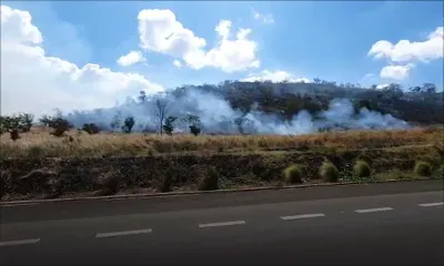 Coromandel : la colline Chapman est la proie des flammes 