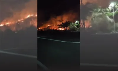Incendie à Chapman Hill, Coromandel