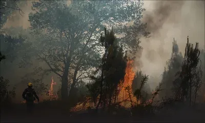 La canicule se décale à l'est, 17.000 hectares brûlés en Gironde
