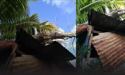 [Images] African Town, Riambel : un filao s’abat sur deux maisons en pleine nuit