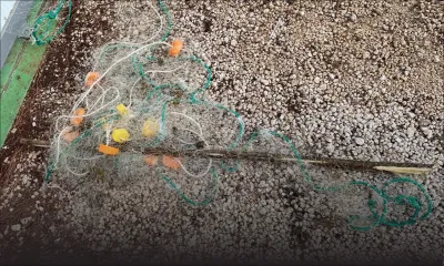 Pêche illégale : 45 mètres de filets saisis à Grand-Gaube 