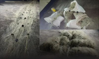 Pêche illégale : 425 mètres de filet saisis à Balaclava