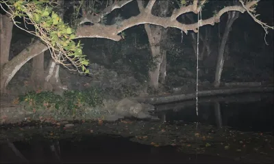 Trou-d’Eau-Douce : mort d’un enfant de 10 ans