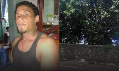 En volant des mangues dans un verger, à Goodlands : chute mortelle de huit mètres d’un quadragénaire