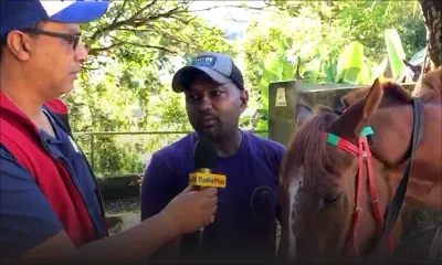 Hippsime - Shekar Kutwaroo : "Mon plus grand souvenir c'est avec Have Mercy"