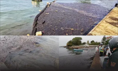 Mahébourg Waterfront : retour de résidus de fioul
