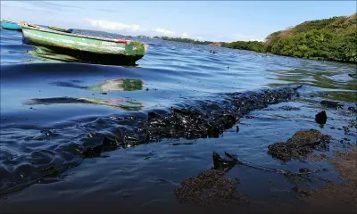 Marée noire : l’impact du déversement du fioul sur les lagons et la marche à suivre