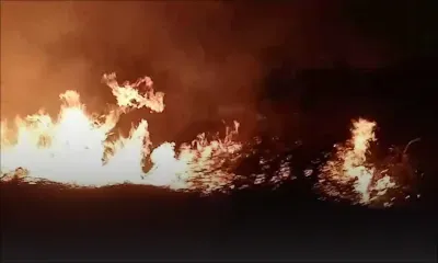 La Tour Koenig : incendie sur un terrain en friche