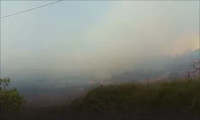 Incendie sur le flanc de la montagne des Signaux 