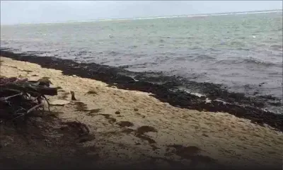 La plage de Flic-en-Flac après le passage de Berguitta