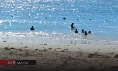 Flic-en-Flac : une collégienne de 18 ans victime d’attouchements alors qu’elle nageait