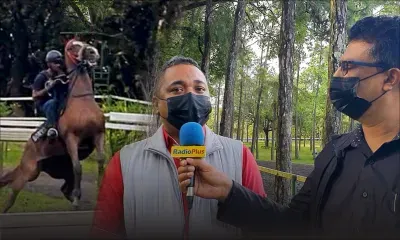 Hippisme - Bonjour Floréal : un Marula impressionnant d'aisance