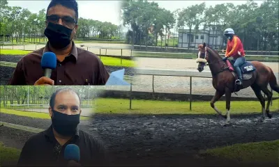 Hippisme - Bonjour Floréal : Escapade de San Andreas