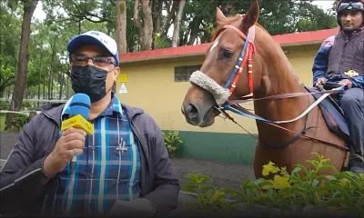 Hippisme - Bonjour Floréal : un Million Dollar Man débordant d’énergie