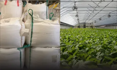 [Blog] Mauritius needs long-term plans, essential for its security