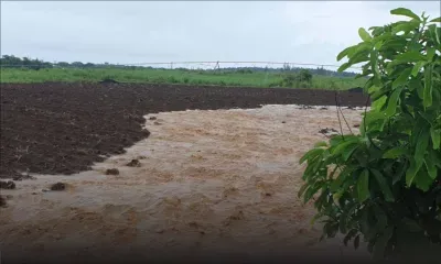 Forbach : l’eau envahit des plantations 