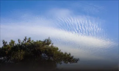 Prévisions météo pour ce lundi 5 février
