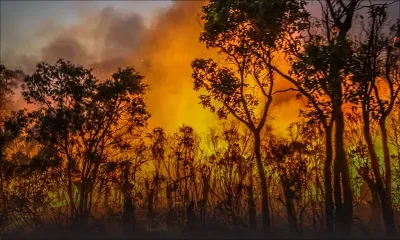 L'Australie prise entre feux de forêt et inondations