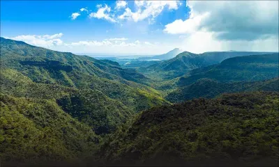 Les forêts face à l’épreuve du développement : quel équilibre écologique ?