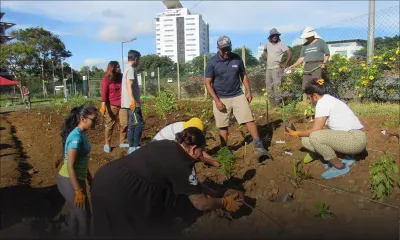 La 25e micro-forêt mauricienne prend naissance à Ebène
