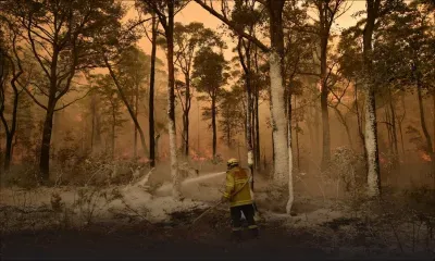 Australie : la pluie redonne de l'espoir dans la lutte contre les incendies