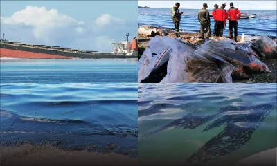 Fuite de fioul du Wakashio : des Mauriciens se mobilisent pour une tentative de grand nettoyage