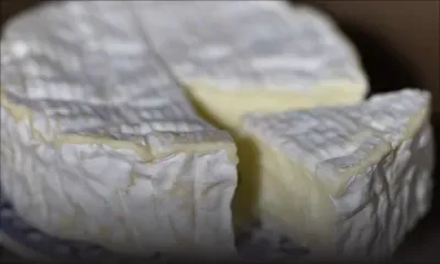France : Fromages rappelés: un "lien possible" avec 21 cas de listériose dont 2 décès, selon le gouvernement