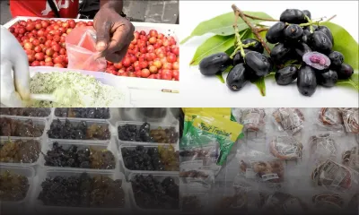 Hiver : utiliser les fruits de saison à bon escient 