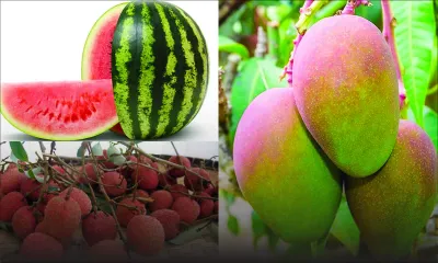 Saison estivale : Letchi, mangue, melon et ananas : des prix qui font chaud dans le dos 