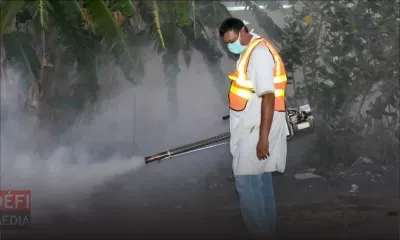 Santé : deux cas de dengue recensés dans la région de Port-Louis 