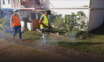 Santé : la dengue peut être fatale en cas de surinfection et de comorbidités 