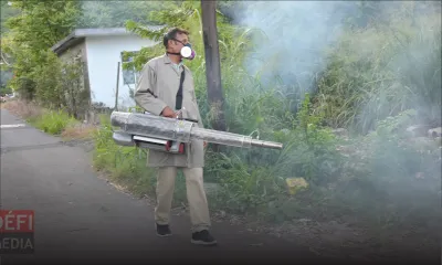 Dengue : 19 cas répertoriés à ce jour