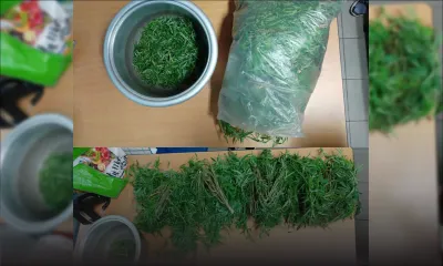 2 kg de gandia saisis à Olivia : «Mo finn mett sek pou mo vender», dit le suspect 