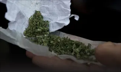 Grand-Bassin : un ado de 16 ans arrêté pour possession de cannabis