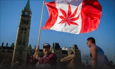 Canada : les députés votent la légalisation du cannabis
