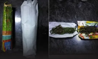 Alma : un suspect vend 10 rouleaux de cannabis à l'Adsu
