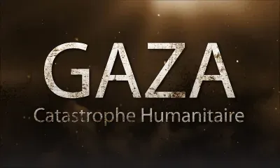 Émission spéciale sur TéléPlus ce mardi - Gaza : Catastrophe Humanitaire