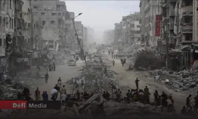 [Blog] Gaza Genocide: the Mosquito Protocol