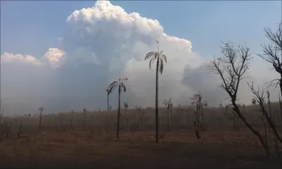4 Minutes aux 4 Coins du Monde : Bolivie, quatre millions d’hectares dévastés par les incendies 