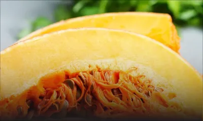 Côte d’Or : coffré pour le vol de plus de 200 kilos de giraumon dans une plantation