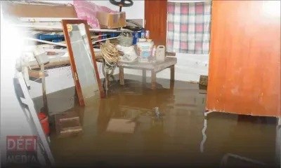 Gokhoola : une cinquantaine de maisons inondées, selon Dorsamy Ayacoutee