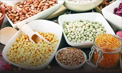 Price Stabilisation Fund : vers une nouvelle vague de produits subventionnés pour alléger le panier des ménages