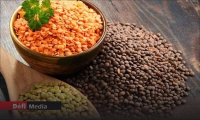 Grains secs : un stock de trois mois disponible pour l’instant 