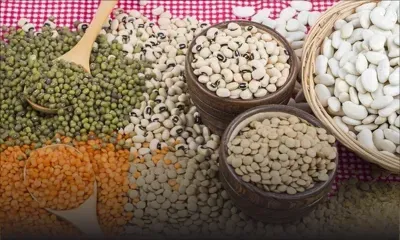 Consommation : vers une nouvelle baisse des prix des grains secs 