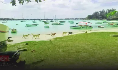 Grand-Baie : une touriste allemande meurt noyée 