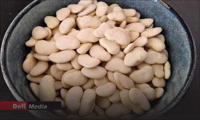 Consommation : le gros pois importé par la STC en vente d’ici cette semaine 