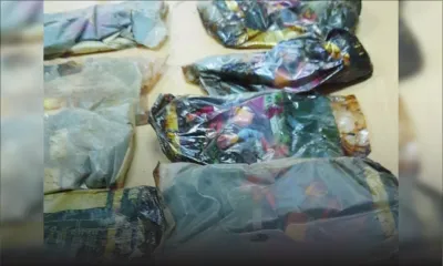 Special Striking Team : des saisies de drogues valant plus de Rs 600 M 