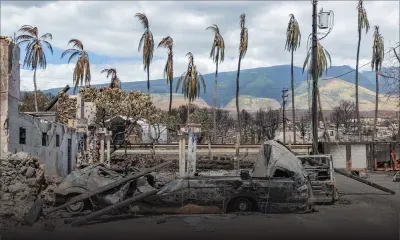 Incendies à Hawaï : le bilan humain dépasse les 100 morts